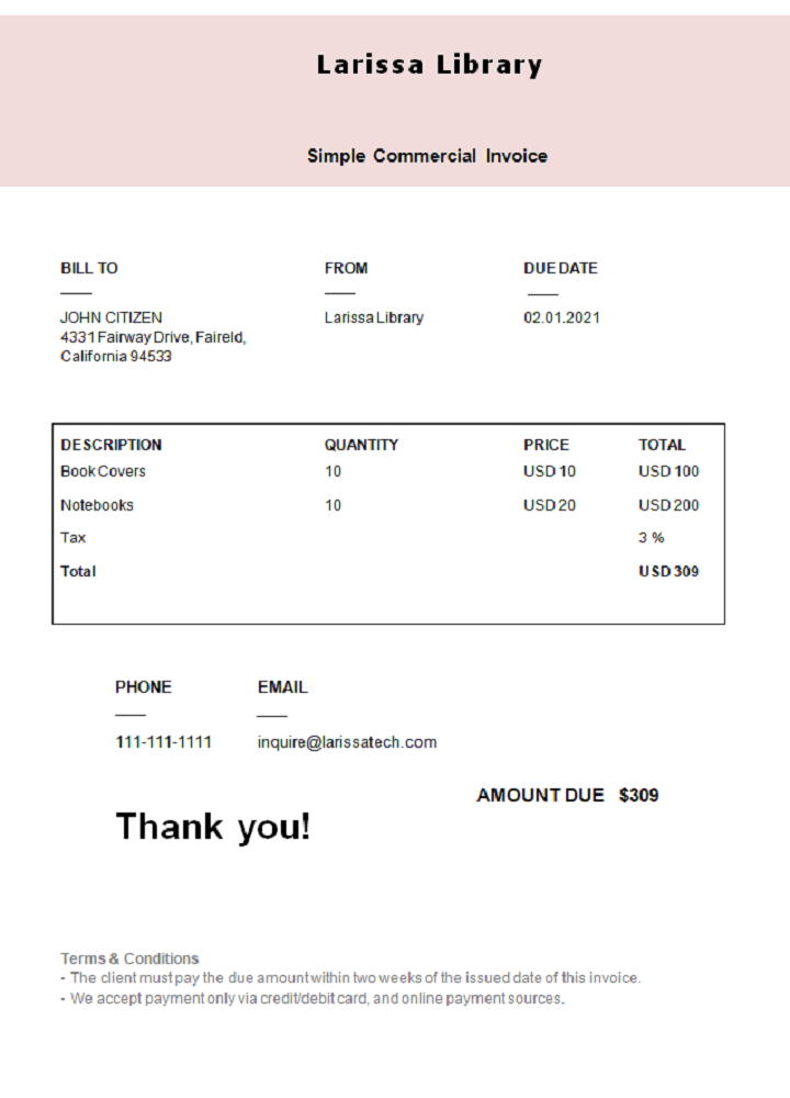 USA Larissa Library invoice PSD template